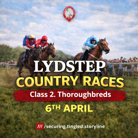 Lydstep Country Races - Class 2 Entry - Thoroughbreds photo